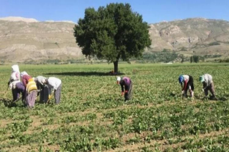 Antalya için 2020 tarım yatırımları yılı oldu
