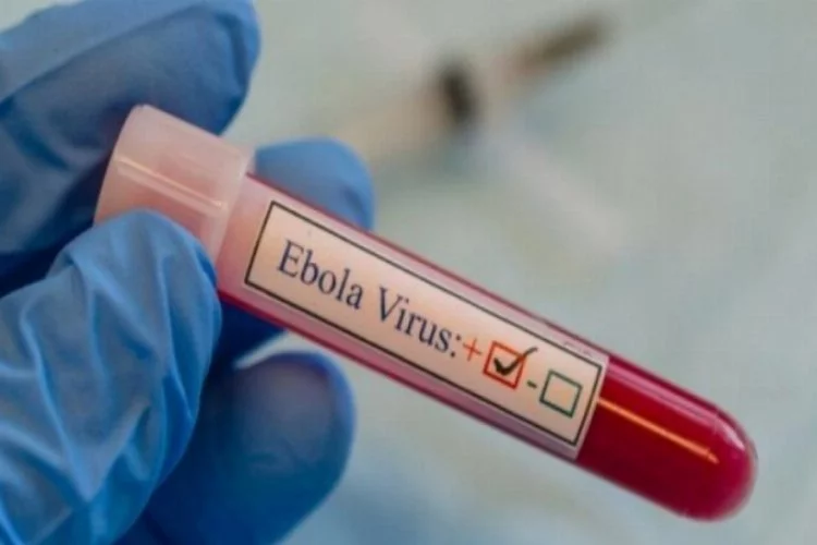 Ebola virüsü geri mi dönüyor?
