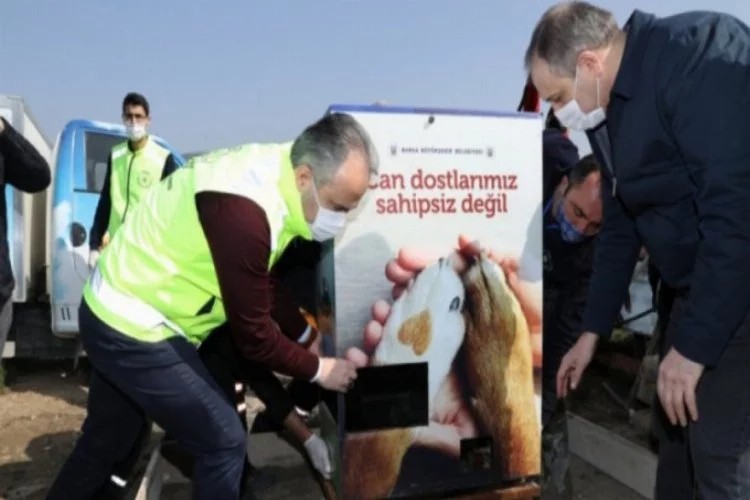 Bursa'da gönüllüler sokak hayvanları için sahaya indi