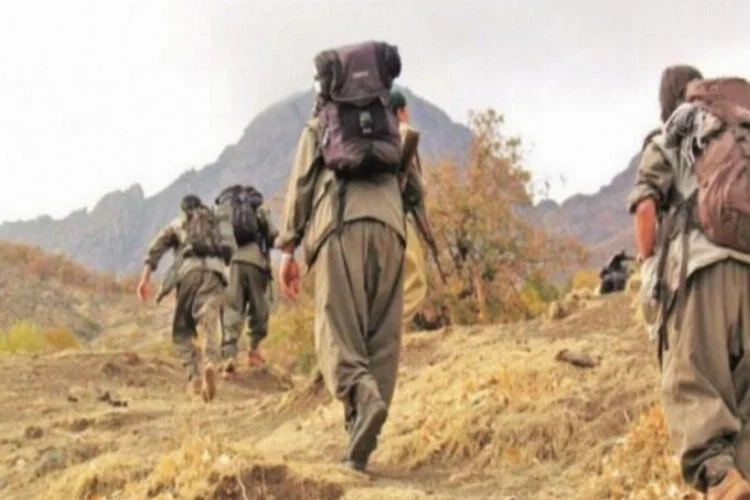 PKK'lı 2 terörist daha teslim oldu