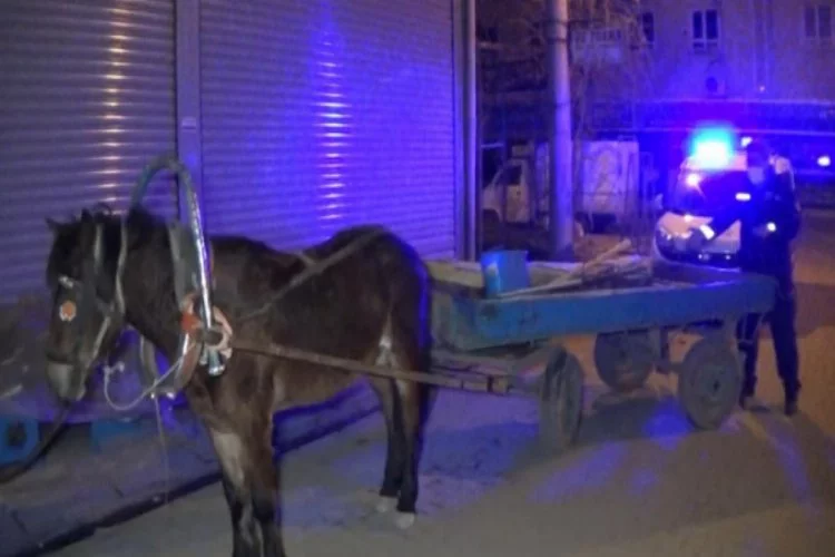Bursa'da kısıtlama vakti at arabasıyla hırsızlık!