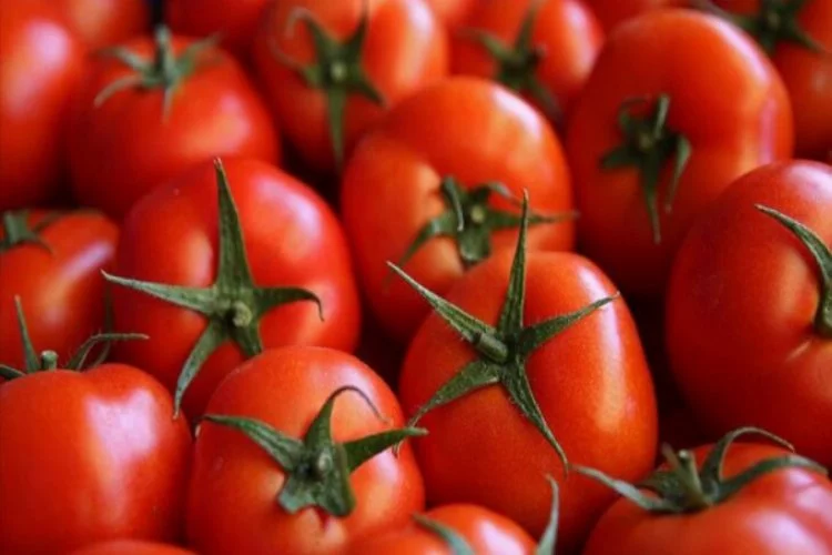 Antalya halleri şubat ayı domates, sebze ve meyve endeksi açıkladı