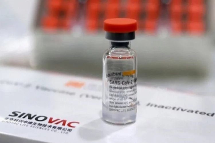 Sinovac aşısının etkinlik oranı açıklandı