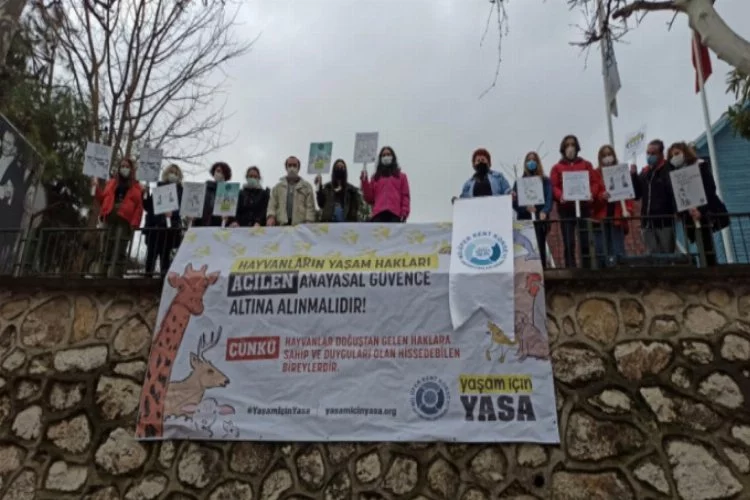 Bursa'da hayvan hakları yasası ile ilgili basın açıklaması