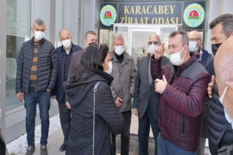 Bursa Milletvekili Kayışoğlu çeltik tarlalarındaki tehlikeye dikkat çekti