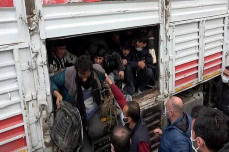 TIR'da balık istifi 114 kaçak göçmen taşınmasına 3 tutuklama
