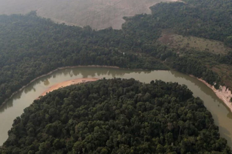 'Amazon ormanları Facebook'ta satılıyor' haberi sonrası soruşturma