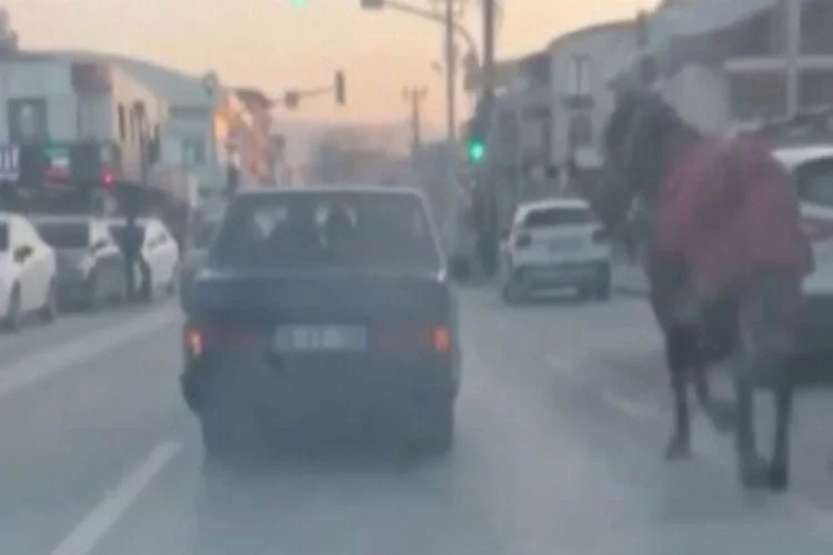 Bursa'da aracına bağladığı atı caddelerde koşturdu!