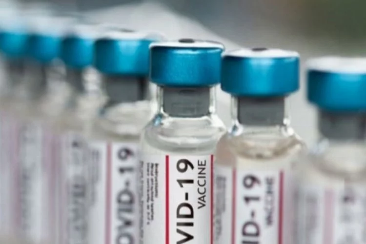 Aşı üreticileri Kovid-19 aşılarından ne kadar kazanacak?