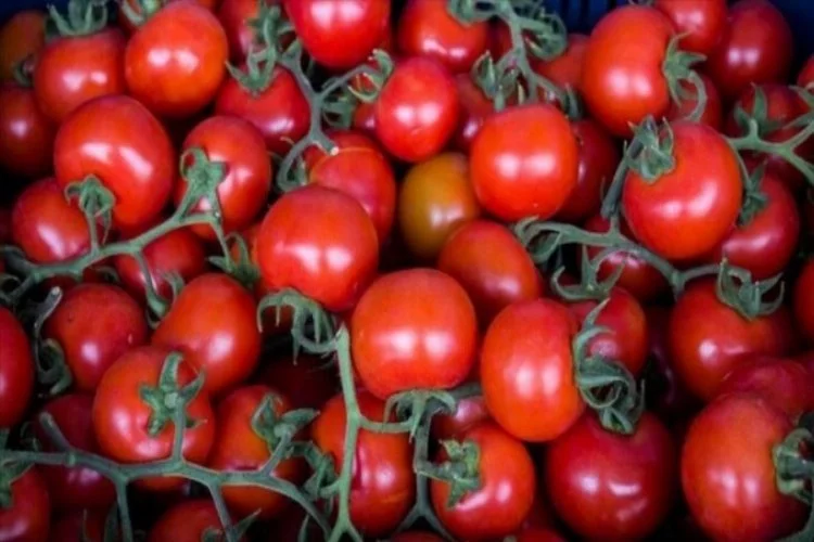 Mart ayı domates, sebze ve meyve endeksi açıklandı