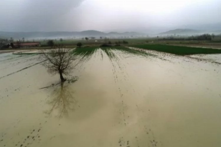 Bursa'da Mudanya'nın sağanaktan zarar gören tarım arazilerine inceleme!