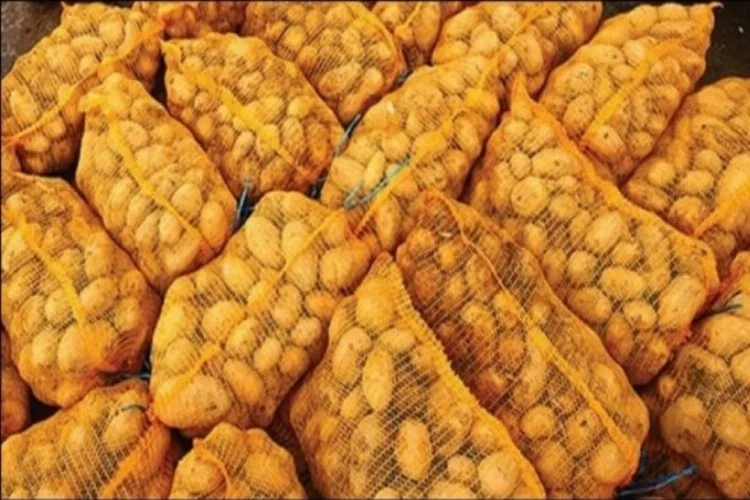 Patates üreticileri hazırlıklara başladı