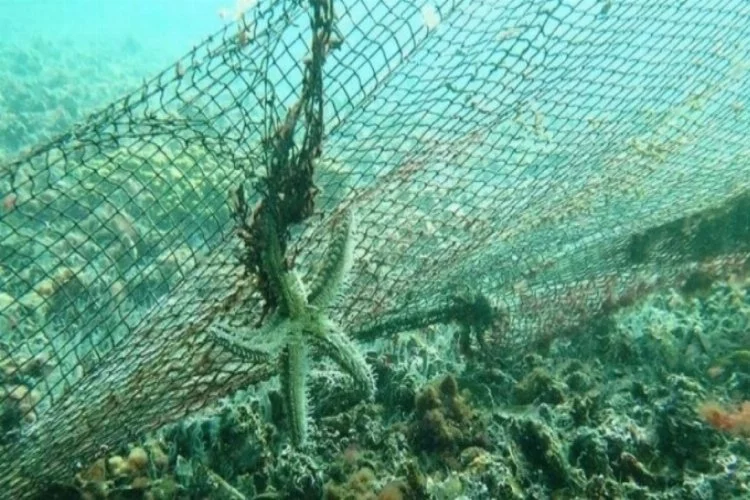 Denizlerden geçen yıl 10 bin metrekare "hayalet ağ" çıkarıldı