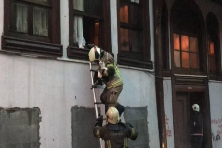 Bursa'da tarihi binada korkutan yangın! Onlarca kedi kurtarıldı