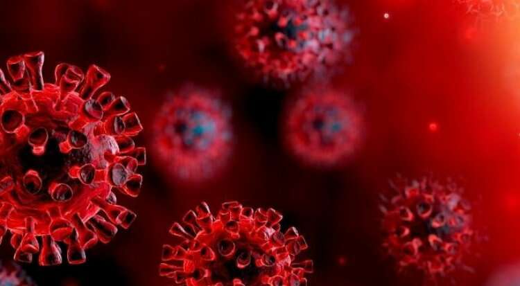 Yeni koronavirüs mutasyonu hakkında neler biliniyor? İşte tüm detaylar...
