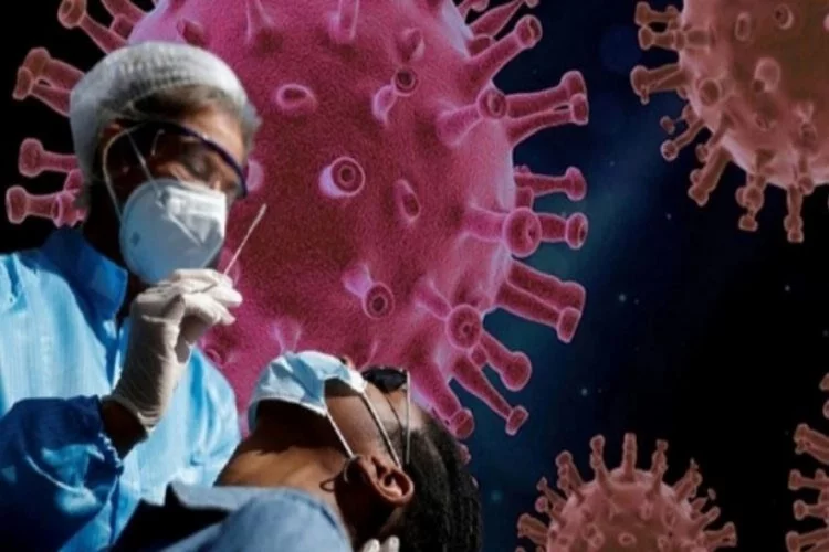 Oxford Profesörü koronavirüs ile mücadeleyi satranca benzetti