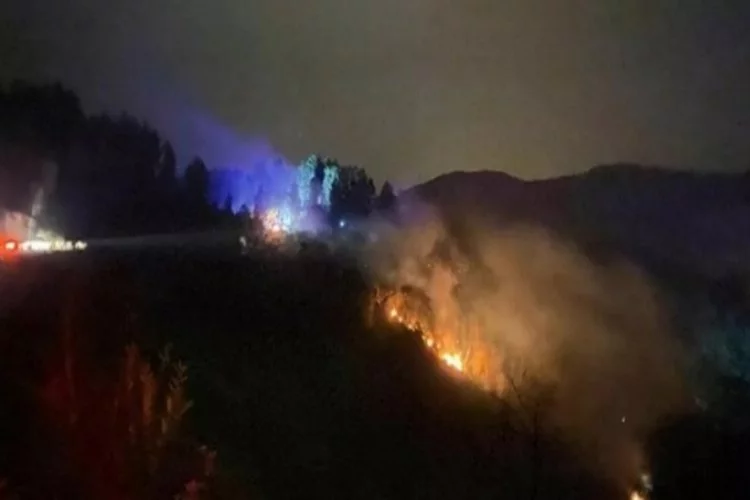 Rize'de korkutan orman yangını