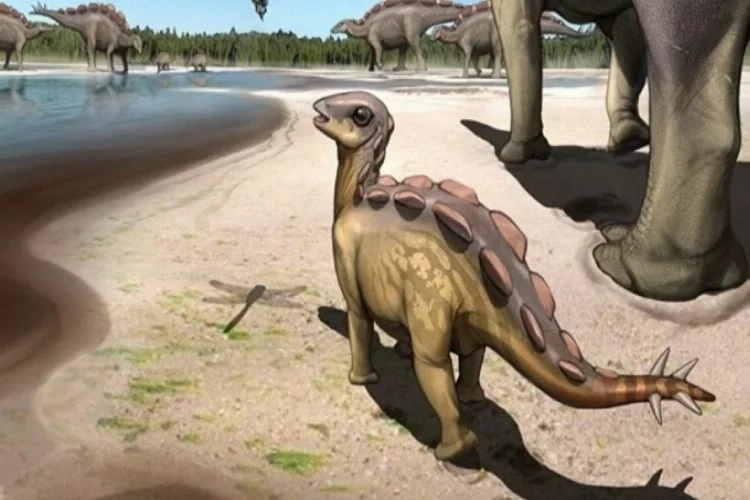 'Bebek dinozora ait' ayak izi bulundu