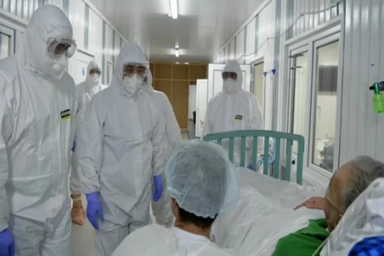 Kırgızistan Sağlık Bakanı'nın 'zehirli bitki' tavsiyesine uyan 2 kişi zehirlendi