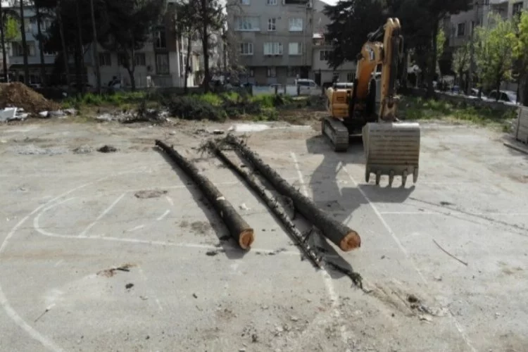 Bursa'da okul bahçesindeki ağaç katliamını mahalleli önledi