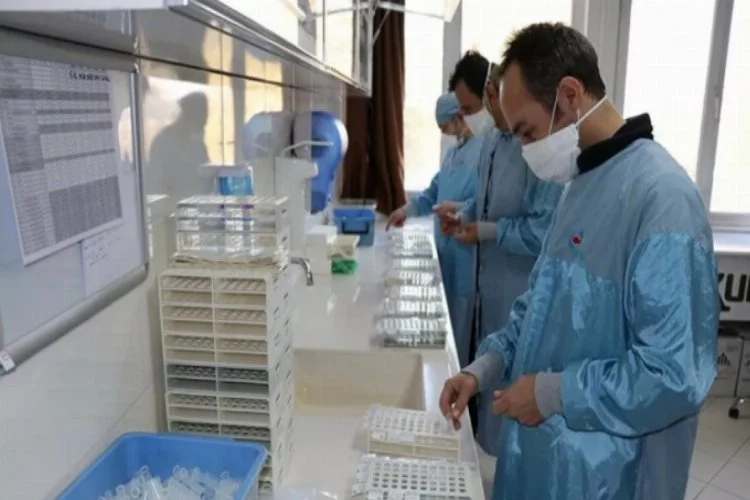 Yerli aşıda Faz-3 aşaması için hedef Mayıs ayı
