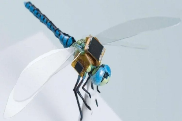 Yusufçuk, gelecekteki drone tasarımlarına ilham veriyor