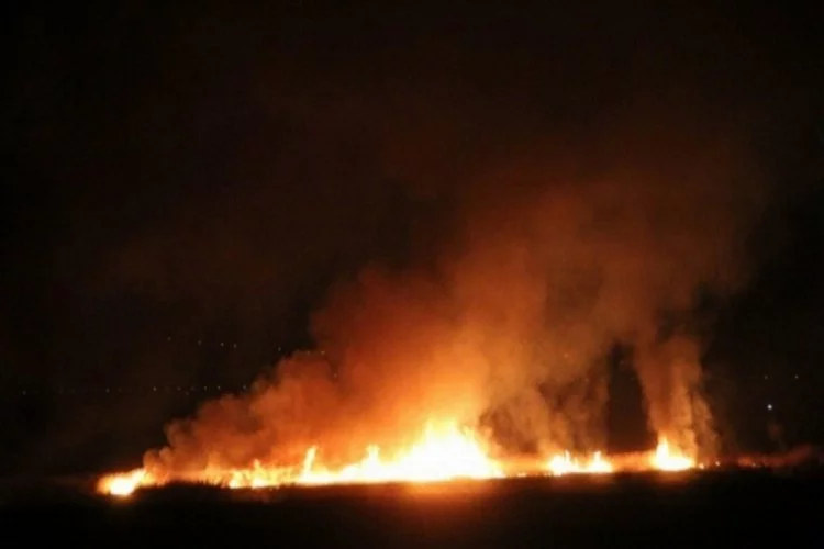 Erzincan'da kuş cenneti alev alev yanıyor