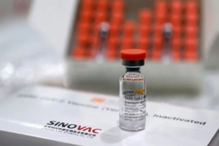 Sinovac aşısının gerçek dünya verileri açıklandı