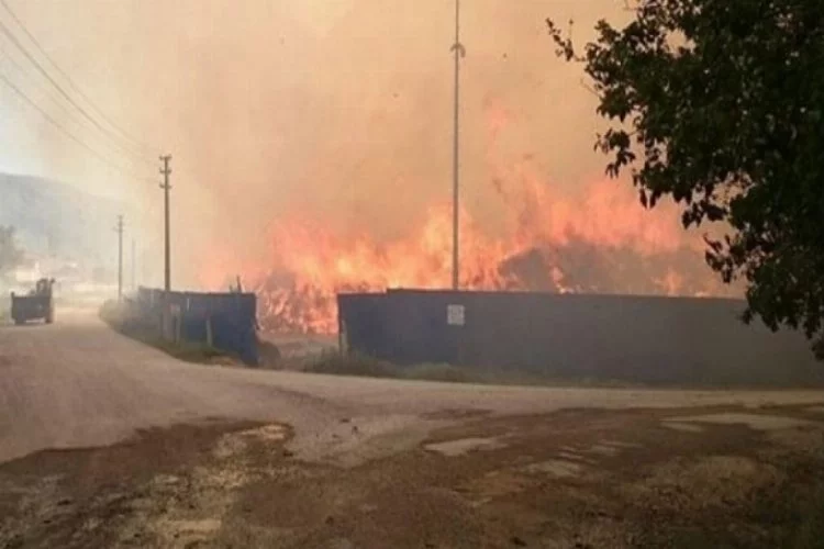 Afyonkarahisar'daki biyokütle enerji tesisinde yangın