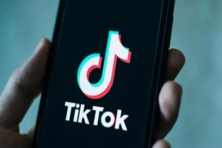 TikTok, yüzlerce videoyu yayından kaldırdı