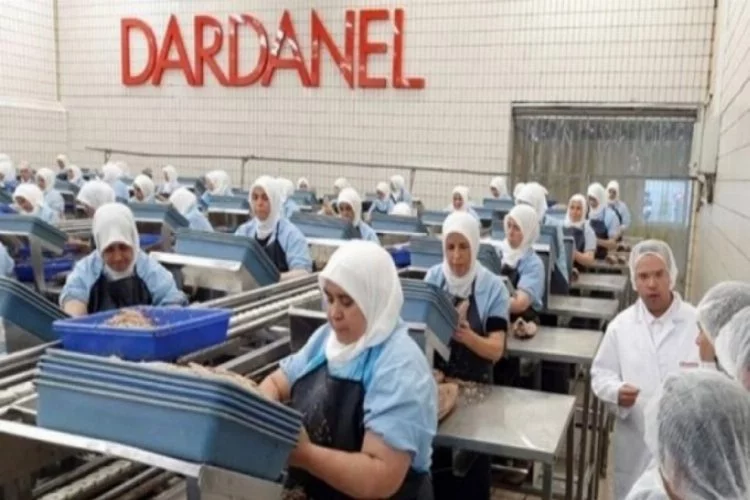 Dardanel, Yunanistan'ın önde gelen deniz ürünleri şirketini satın alacak