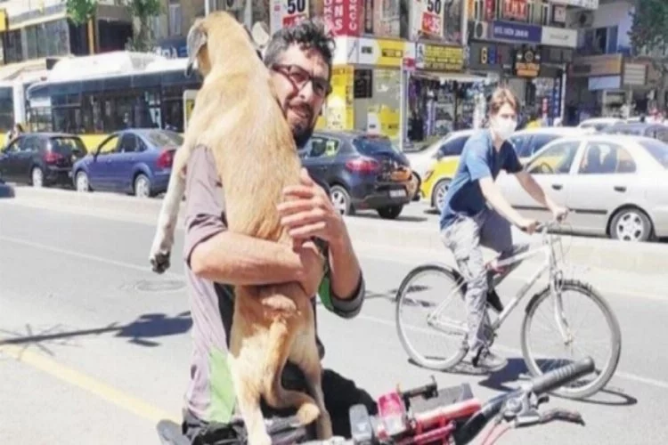 Yaralı köpeği taksiler alamayınca bisiklet kiraladı