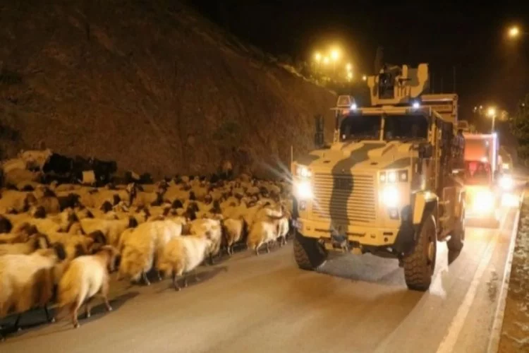 10 bin koyun polis eskortluğunda böyle geçiş yaptı! Görüntüler inanılmaz