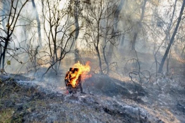 Adana'da orman yangını: 10 dönümlük alan zarar gördü