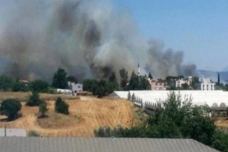 Antalya Serik'te 3 noktada orman yangını