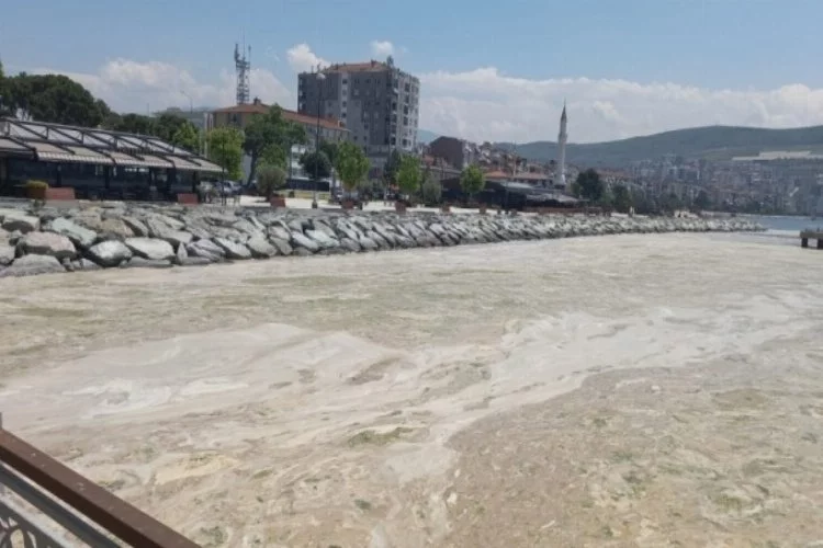 Bursa'da lodos nedeniyle müsilaj Gemlik Körfezi'nde yoğunlaştı