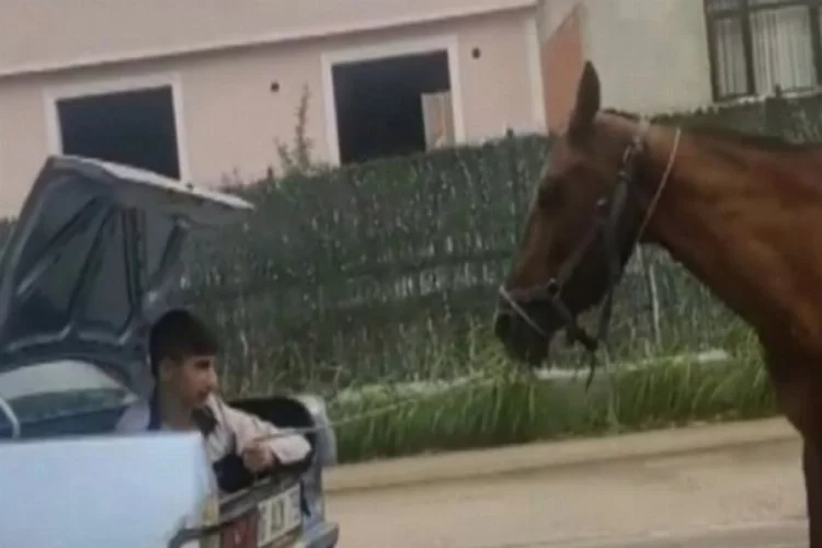 Bursa'da ipe bağladığı atı koşturan çocuğun olduğu araca ceza!