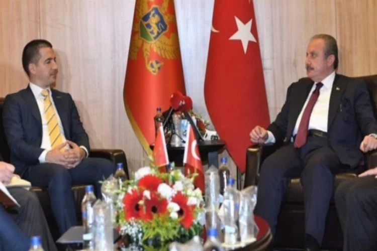 Şentop, Karadağ Meclis Başkanı Becic ile görüştü