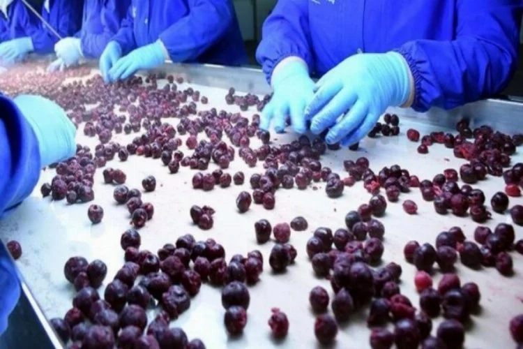 Dondurulmuş meyve sebze ihracatında hedef 250 milyon dolar