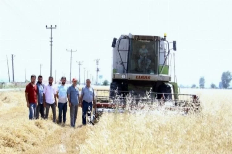 Bursa'da para kazanamayan çiftçi ekim yapmıyor