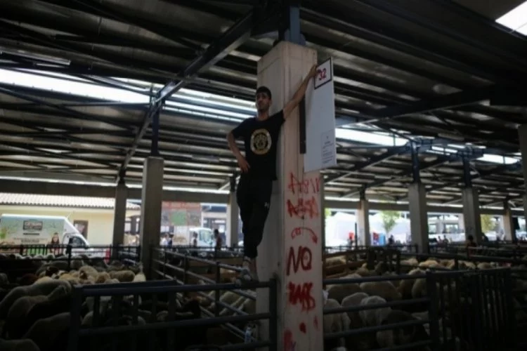 Bursa'da hayvan pazarlarında beklenen hareketlilik yaşanmadı
