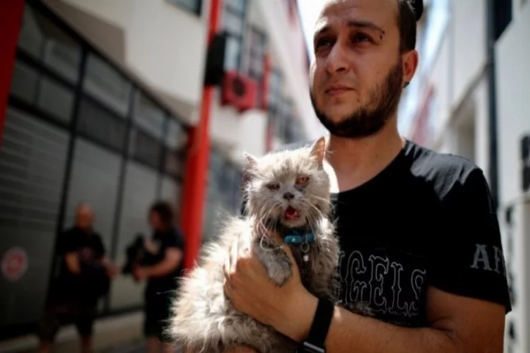 Bursa'da anne kedi ve yavruları yangından böyle kurtarıldı