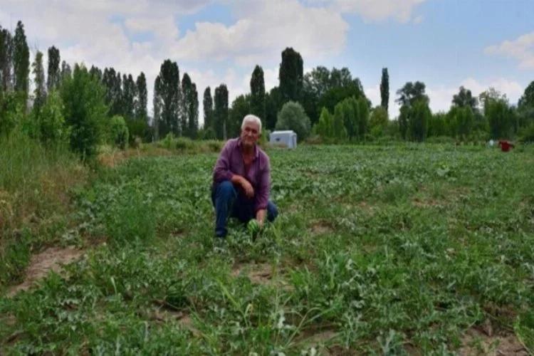 Emekli olup döndüğü köyünde organik tarıma başladı