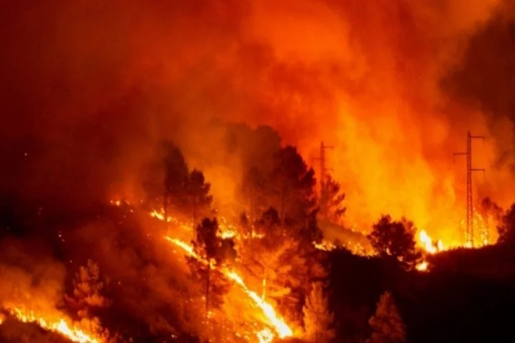 İspanya'da korkutan orman yangını