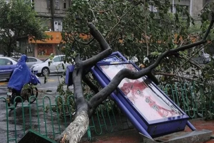 Çin'in doğusunda tayfun uyarısı