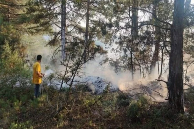 Bursa'da yıldırım orman yangınlarına sebep oldu!