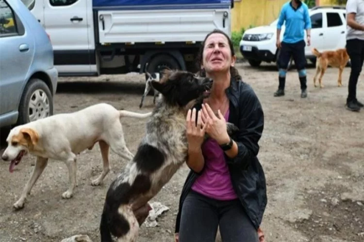 Artvin'in Arhavi ilçesinde selde mahsur kalan köpekler böyle kurtarıldı!
