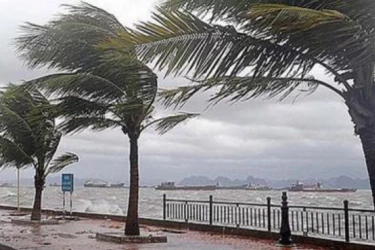 Trabzon'da şiddetli fırtına can aldı