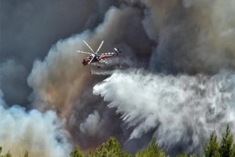Yunanistan'da orman yangını! Yerleşim birimlerini tehdit ediyor