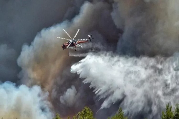 Yunanistan'da orman yangını evlere sokuluyor